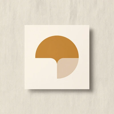 Identité graphique et déclinaisons de marque.